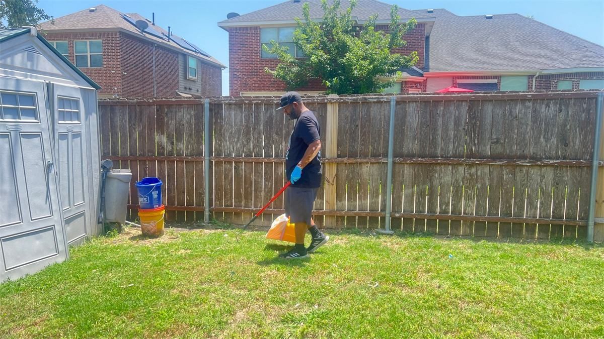 Poop Savvy performing pet waste removal in a Red Oak-area backyard